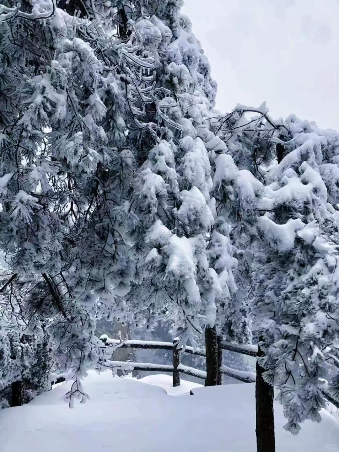 Zhangjiajie Tingyutang Little Yard Exterior photo